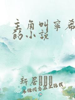 主角叫宁希叶凡的小说