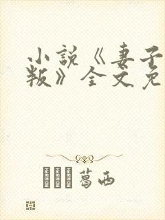 小说《妻子的背叛》全文免费阅读