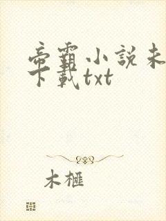 帝霸小说未删版下载txt