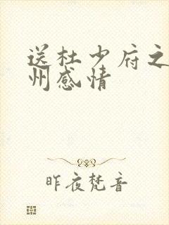 送杜少府之任蜀州感情