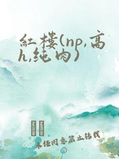 红楼(np,高h,纯肉)