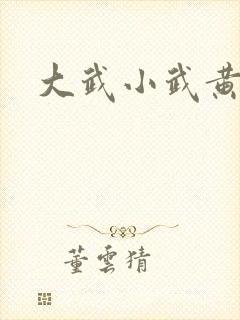 大武小武黄蓉