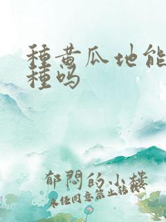 种黄瓜地能重茬种吗