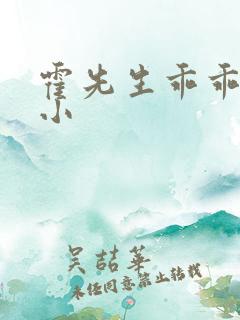 霍先生乖乖宠我小