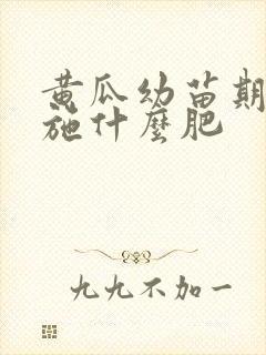黄瓜幼苗期应该施什么肥