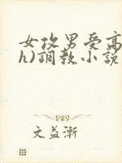 女攻男受高h(h)调教小说