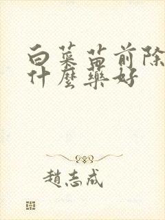 白菜苗前除草剂什么药好