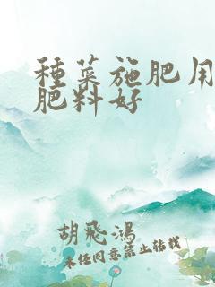 种菜施肥用什么肥料好