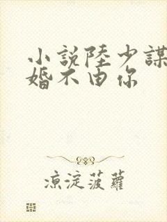 小说陆少谋妻之婚不由你
