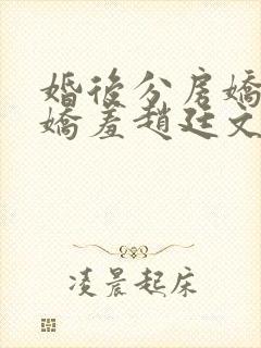 婚后分房娇夫别娇羞赵廷文方允大结局哪里
