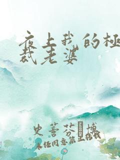 夜上我的极品总裁老婆 夜上我的极品总裁老婆