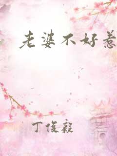 老婆不好惹