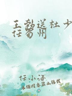 王勃送杜少府之任蜀州
