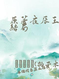 原著夜辰王最后结局