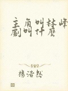 主角叫林峰的短剧叫什么