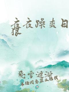 夜夜躁爽日日躁狠