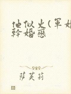 他似火(军婚高干婚恋