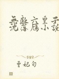 无敌六皇子云铮沈落雁小说未删版完整