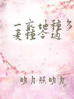 一亩地种多少斤麦种合适