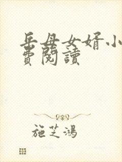 岳母女婿小说免费阅读