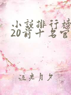 小说排行榜2020前十名官场