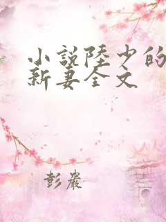 小说陆少的暖婚新妻全文