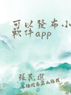 可以发布小说的软件app