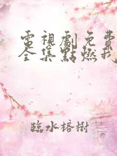 电视剧免费观看全集点燃我温暖你
