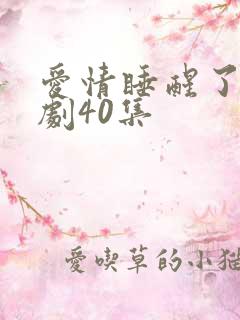 爱情睡醒了电视剧40集