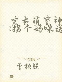 完本萌宝神助攻:拐个妈咪送爹地