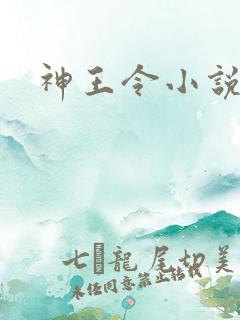 神王令小说小说
