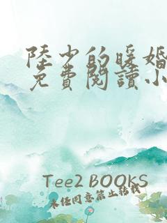 陆少的暖婚新妻免费阅读小说