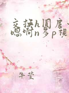 交换h圆房～h嗯啊n多p视频