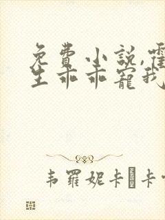 免费小说,霍先生乖乖宠我
