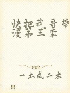 快把我哥带走动漫第三季