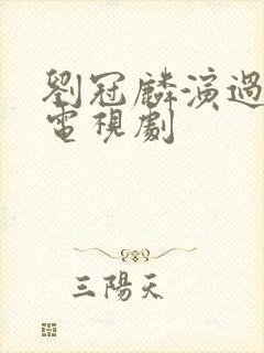 刘冠麟演过哪些电视剧