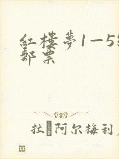 红楼梦1—5组邮票
