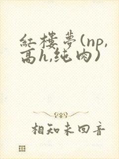 红楼梦(np,高h,纯肉)