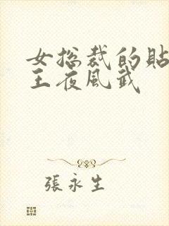 女总裁的贴身兵王夜风武