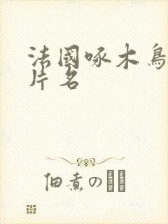 法国啄木鸟系列片名