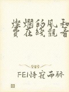 灿烂的风和海免费在线观看