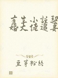 有生小说契约闪婚大佬追妻不择手段