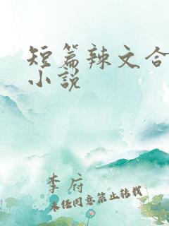 短篇辣文合集h小说