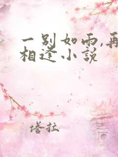 一别如雨,再无相逢小说
