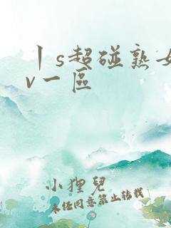 丨s超碰熟女av一区