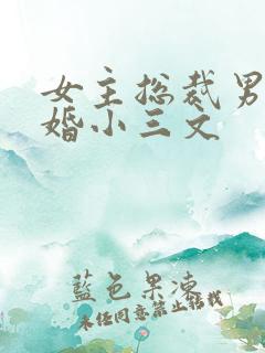 女主总裁男主已婚小三文