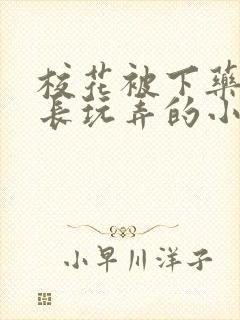 校花被下药被校长玩弄的小说