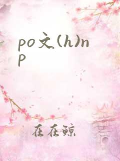 po文(h)np
