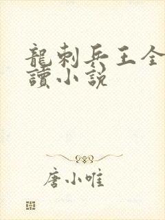 龙刺兵王全文阅读小说