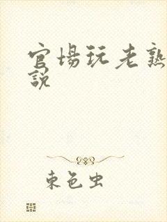 官场玩老熟女小说